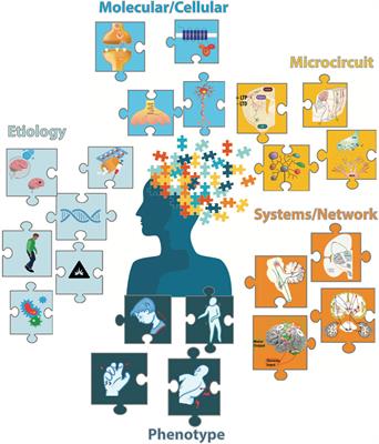 Piecing together a complex puzzle: 5 key challenges in basic dystonia research